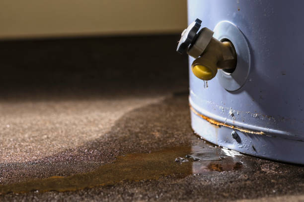 Best Water damage mitigation services  in Merced, CA