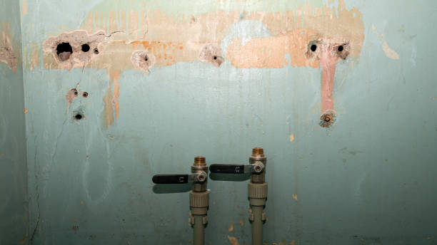 Best Ceiling water damage repair  in Merced, CA